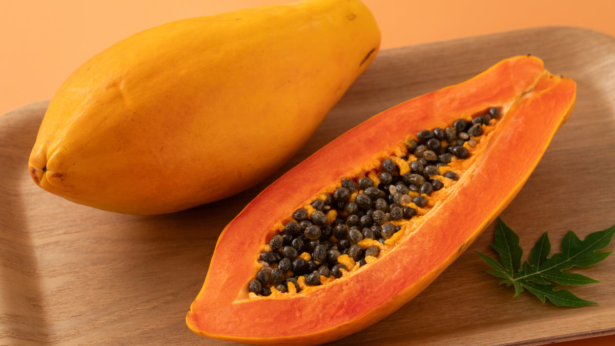 Papaya - Carica papaya